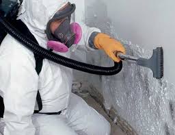 Biohazard Mold Removal in Titusville, PA